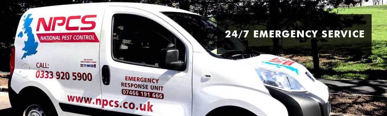 24 Hour Pest Control London