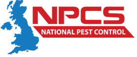 Pest Control Fleas London