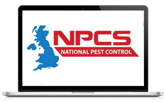 Pest Control Fleas London