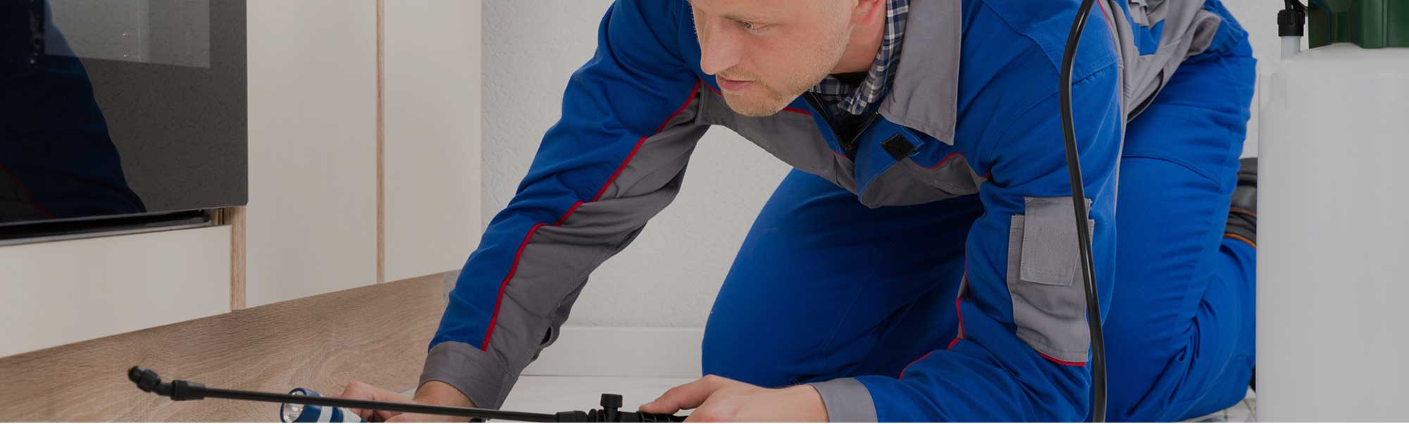 Pest Control Services London